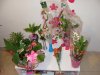 DSC05659.jpg