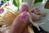 P1000150.jpg