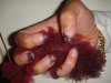 DSC01627.jpg