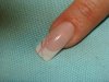 DSC05706.jpg