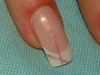 DSC05723.jpg