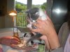 DSCN1762.jpg