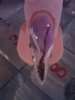 SP_A1105.jpg