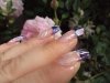 DSC00613.jpg