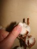DSC08071.jpg