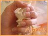 DSC02367 copie.jpg
