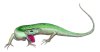 lezard.jpg