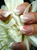 049 - Copie.jpg