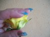 100_0209.jpg