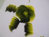 mon 1er one stroke 007.jpg