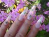 DSC04173.jpg