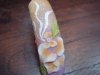 DSC01077.jpg