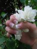 DSCN3759.jpg