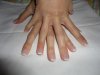 DSC00270.JPG