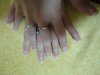 DSC00267.JPG