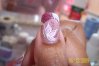 100_2441.jpg
