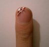 spider nail1.jpg
