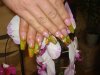 DSC04226.jpg