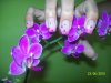 100_3861.jpg