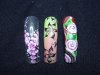 DSC01556.jpg