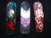 DSC01566.jpg