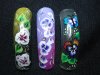 DSC01568.jpg