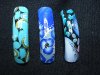 DSC01577.jpg