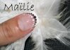 IMG_5347 copie.jpg