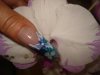DSC04289.jpg