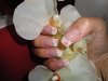 DSC00632.jpg