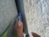 DSC01295.jpg