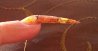 100_2708_1.jpg