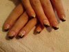 DSC02164.jpg