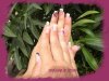 DSCN3262.jpg DSCN3262.jpg