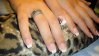 DSC02187.jpg