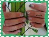 DSC01573.jpg