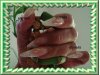 DSC01580.jpg