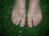 DSCN4531.jpg