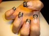 DSC02806.jpg
