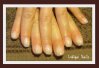 290620102.jpg