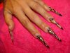 DSC08261.jpg