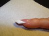 DSC08166.jpg