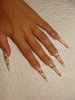 DSC08246.jpg