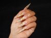 DSC08257.jpg