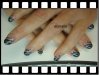 DSC01616.jpg