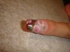 DSC07379.jpg