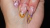 DSC01470.jpg