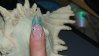DSC01473.jpg