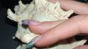 DSC01483.jpg