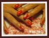 081020101.jpg